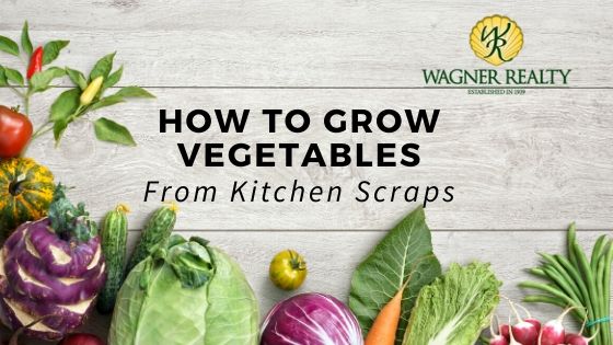 Regrow Vegetables